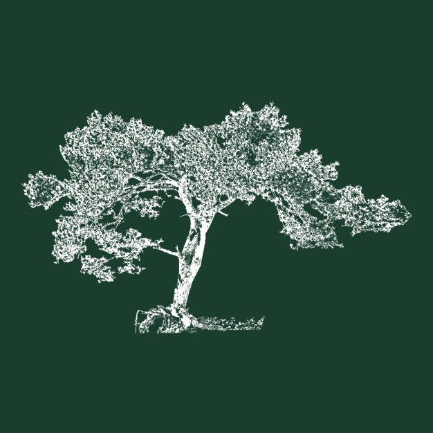ScotsPine logo